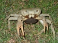 2013-10_CubaActive_A_ (342)